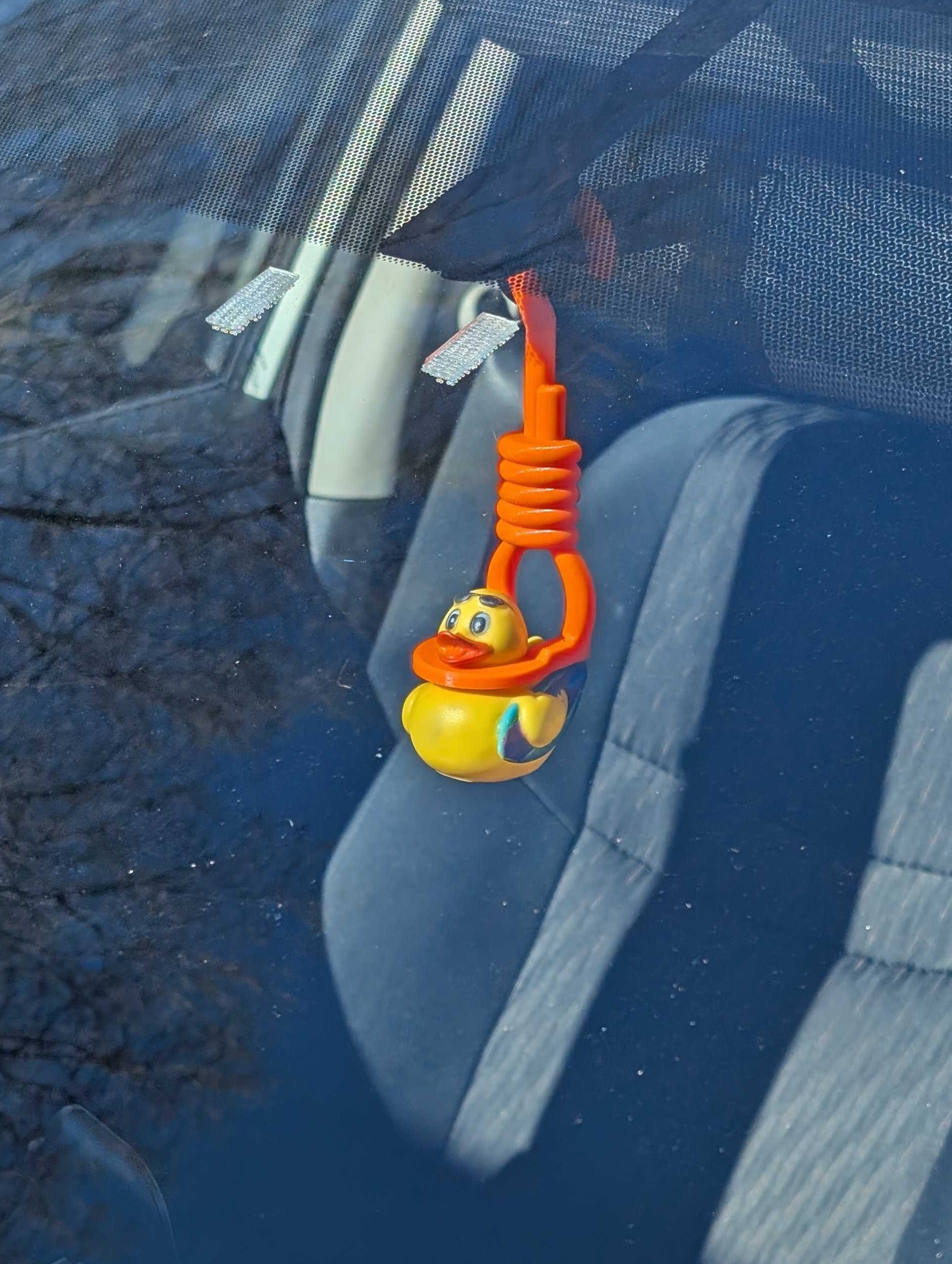 Duck Hanger